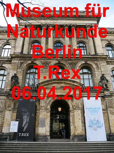 2017/20170406 Berlin Museum für Naturkunde T-Rex/index.html
